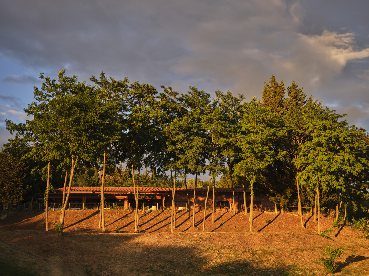 Parco esterno Ristorante il Sambuco Siena